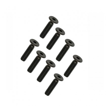 FTX Flat Head 2.5x10mm Screws